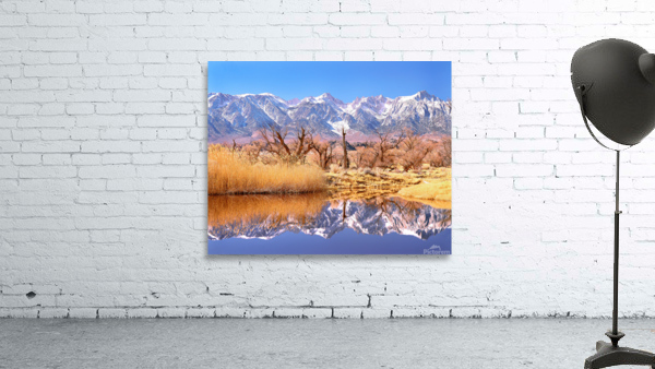 Dancing in The Winter Sunlight Wall Preview