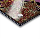 Fractal_Vegetation_Theme Acrylic print