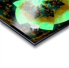 Digital_Vegetation Acrylic print