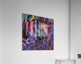 Aurora_Borealis Acrylic Print