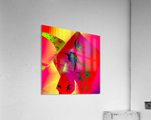 Sun_Flies Acrylic Print