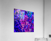 Silent_Prayer Acrylic Print