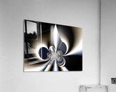 Ex_Libris_series_11 Acrylic Print