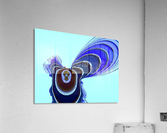 Fly_Fly_Fly Acrylic Print
