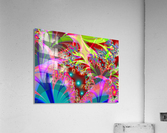 Tangerine_Island_3 Acrylic Print