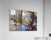 ALXF0005 Acrylic Print
