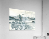 Scotch_Thistle Acrylic Print