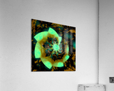 Digital_Vegetation Acrylic Print