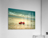 Picture273 Acrylic Print