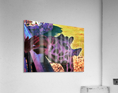 IMG_7572 Acrylic Print