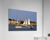 IMG_2649 Acrylic Print