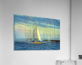 IMG_9979_tonemapped Acrylic Print