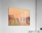 DSC_0998 Acrylic Print
