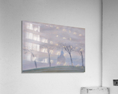 DSC_0992 Acrylic Print