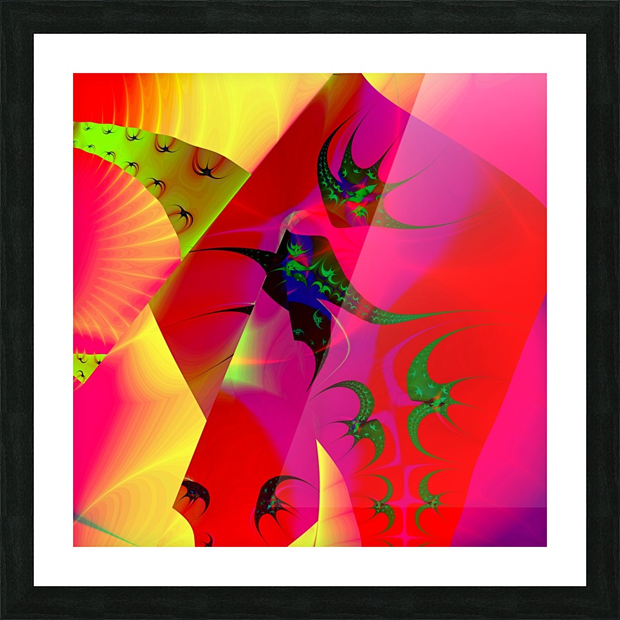 Sun_Flies Picture Frame print