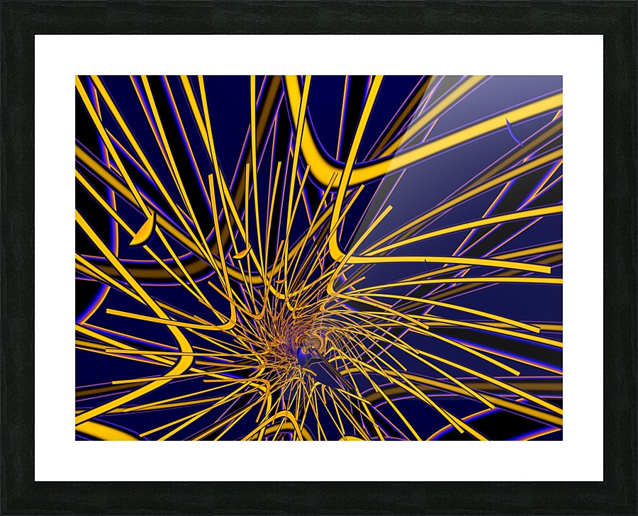 Ex_Libris_series_13 Picture Frame print