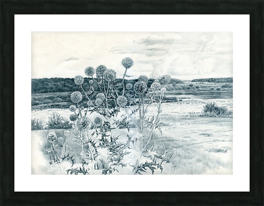 Scotch_Thistle Picture Frame print