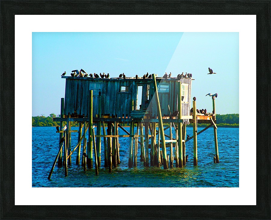 2004_0124Cedar_Key0042 Picture Frame print
