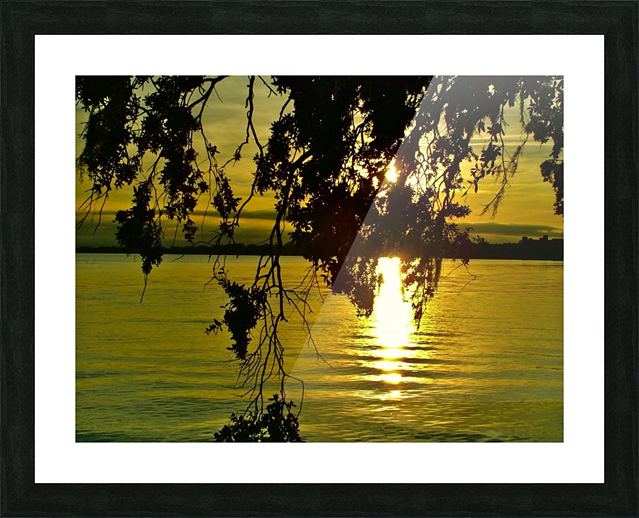 DSCF1707 Picture Frame print