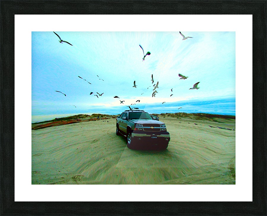 DSCF2094 Picture Frame print