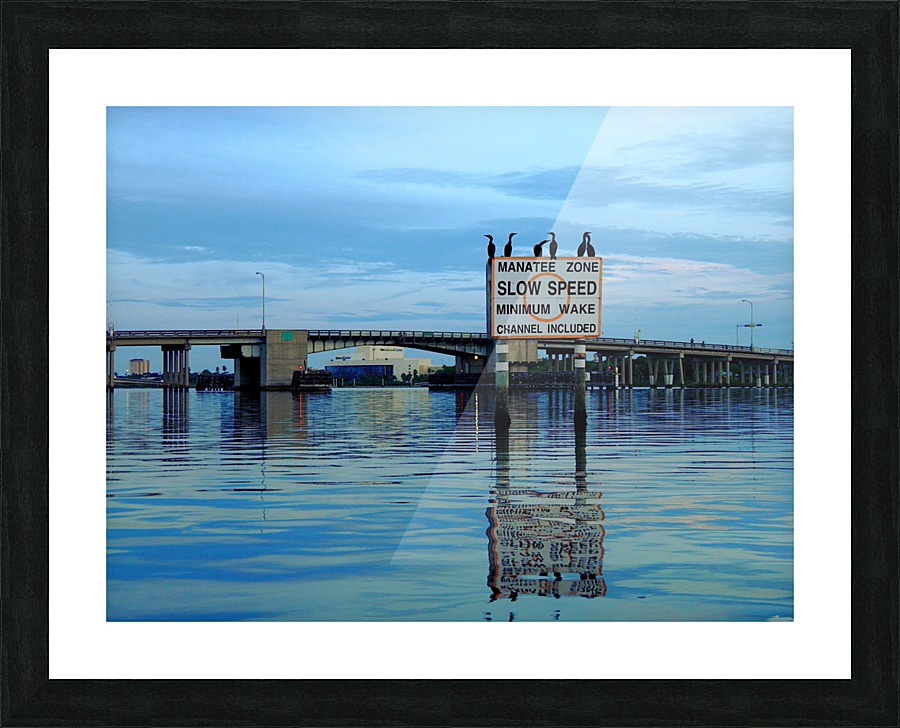 P8110102 Picture Frame print