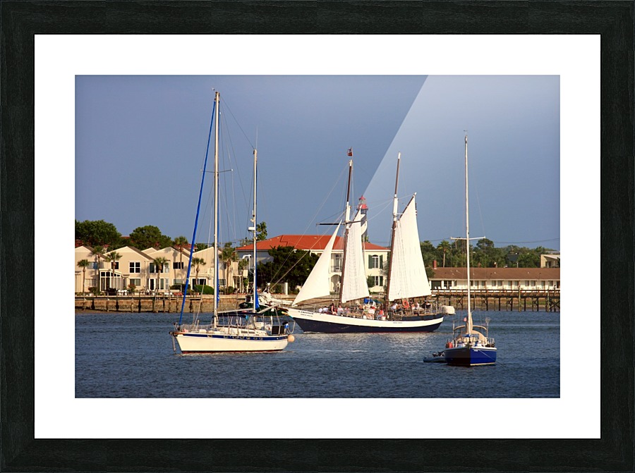 IMG_2649 Picture Frame print