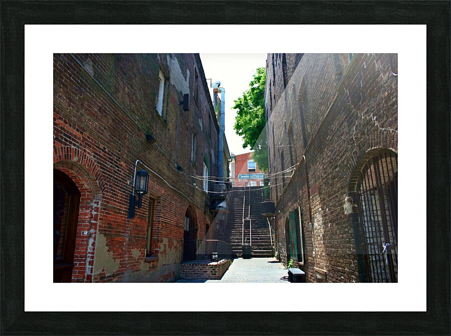 savannah2010403 Picture Frame print