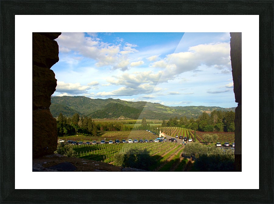 IMG_8180 Picture Frame print