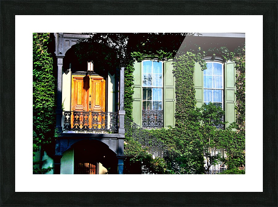 savannah2010 688 Picture Frame print