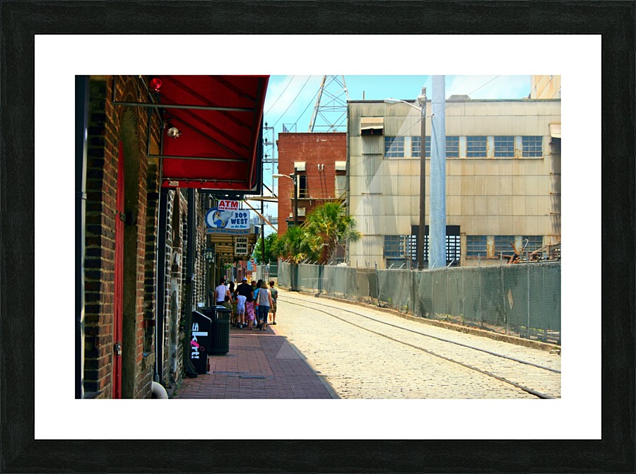 savannah2010 411 Picture Frame print