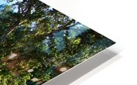IMG_8112 HD Metal print