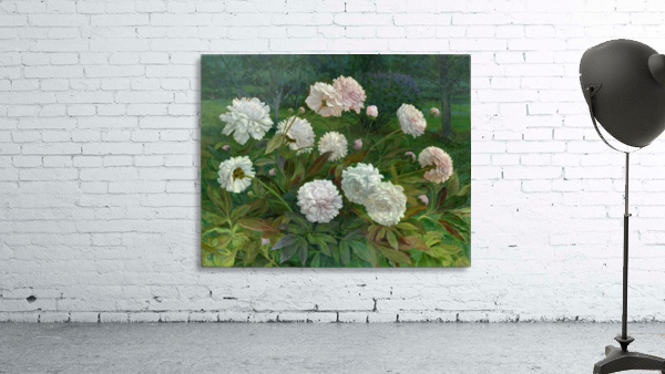 Peonies Wall Preview