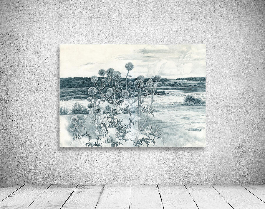 Scotch_Thistle Wall Preview