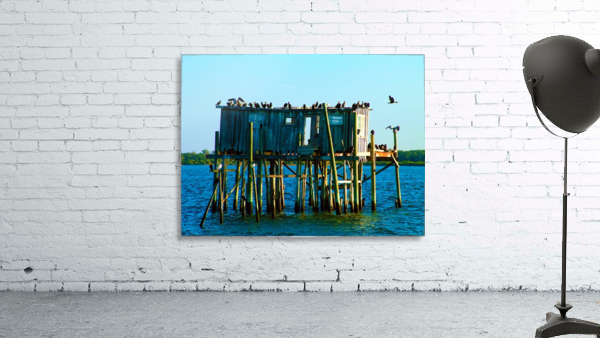 2004_0124Cedar_Key0042 Wall Preview