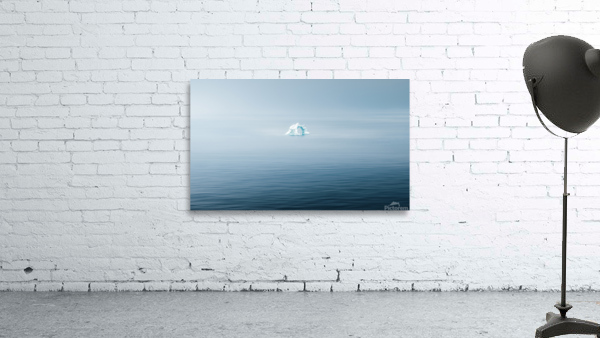 The Lone Iceberg Wall Preview