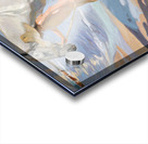 Joaquin Sorolla y Bastida   The Horse’s Bath Acrylic print