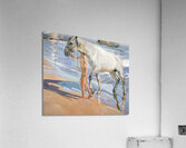 Joaquin Sorolla y Bastida   The Horse’s Bath Acrylic Print