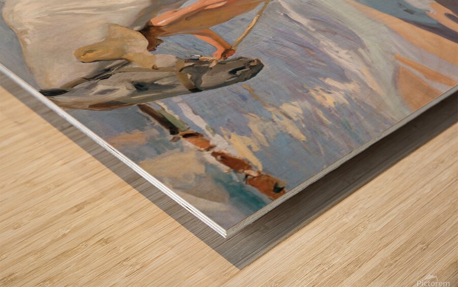 Joaquin Sorolla y Bastida   The Horse’s Bath Wood print