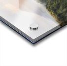 Nature Acrylic print
