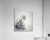 cat drawing Acrylic Print
