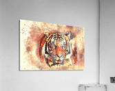 tiger art  Acrylic Print