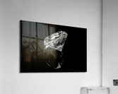 Black diamond  Acrylic Print
