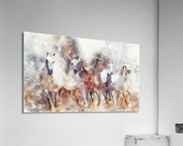 horses  Acrylic Print