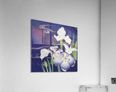 Irises Acrylic Print