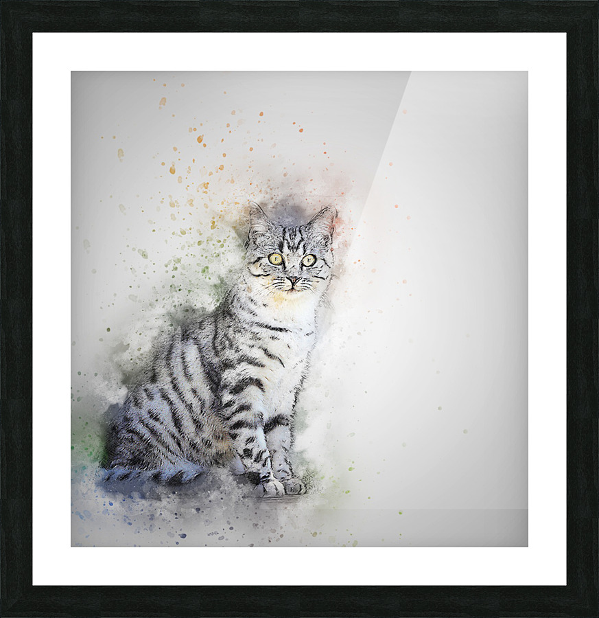 cat drawing Picture Frame print