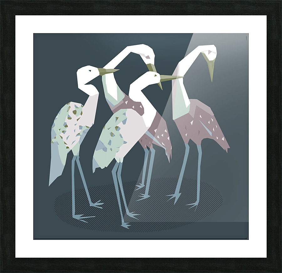 birds  Picture Frame print
