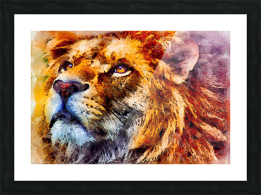lion Wild Picture Frame print