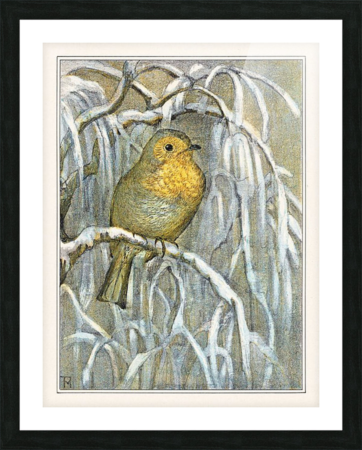  Fine Art print