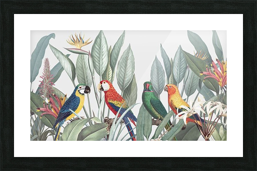  Fine Art print
