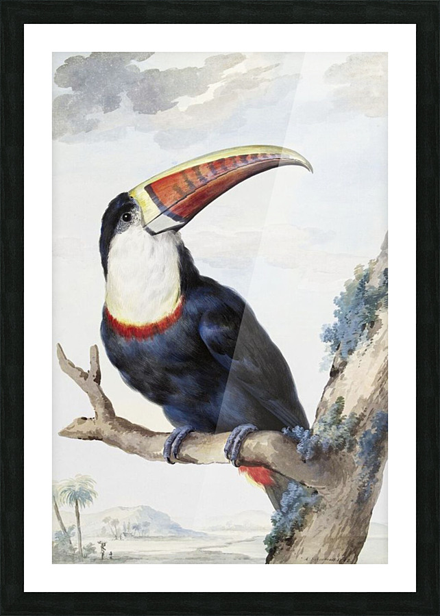  Fine Art print